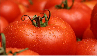 トマトリコピン