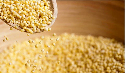 ミレットエキス