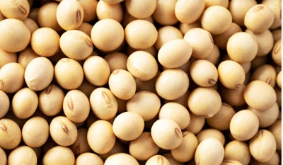 大豆イソフラボン